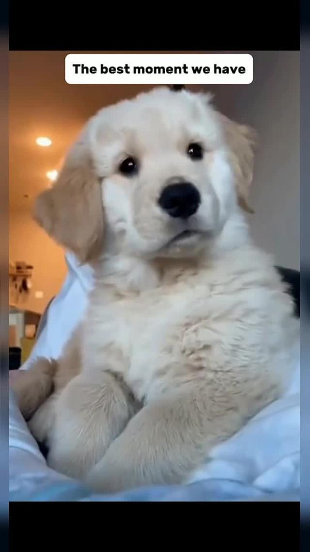 Make AI filter with your favorite photos!