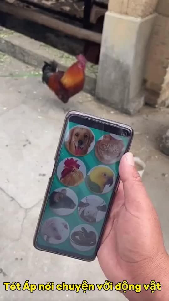 Cách nói chuyện với động vật dễ dàng nhất