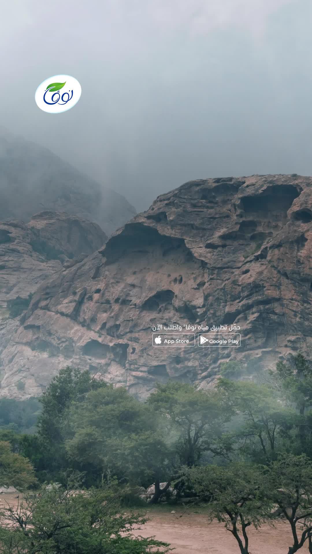 عبواتنا الجديدةمتوفرة حصريا عبر تطبيق مياه نوڤا كمنتج إضافي لمنتجاتنا الحالية اطلبها الآن!