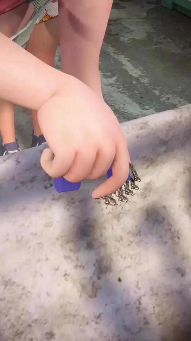 즐겁고 자유로운