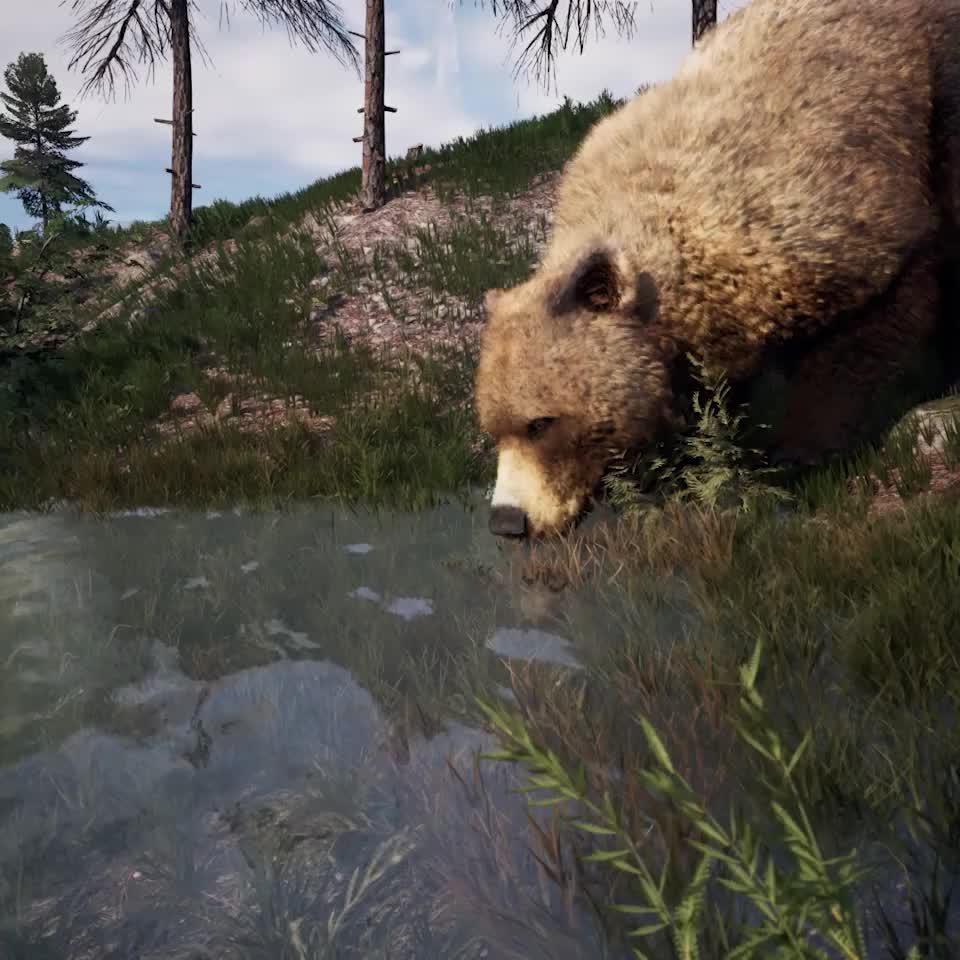 Aim Well, Make the Shot!