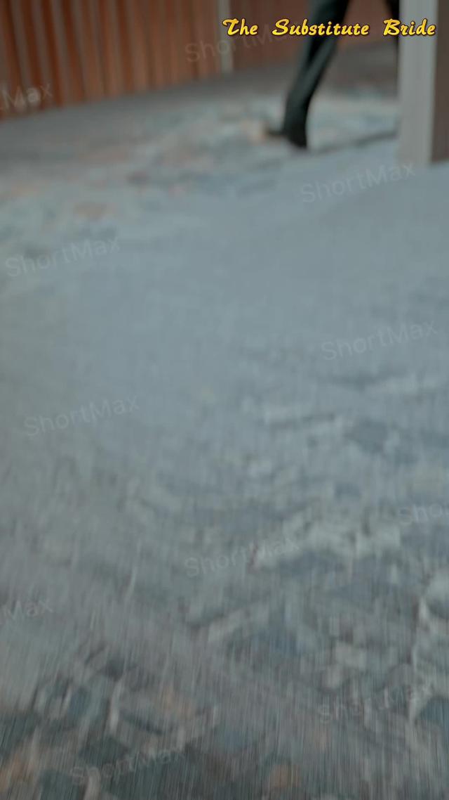 The Substitute Bride