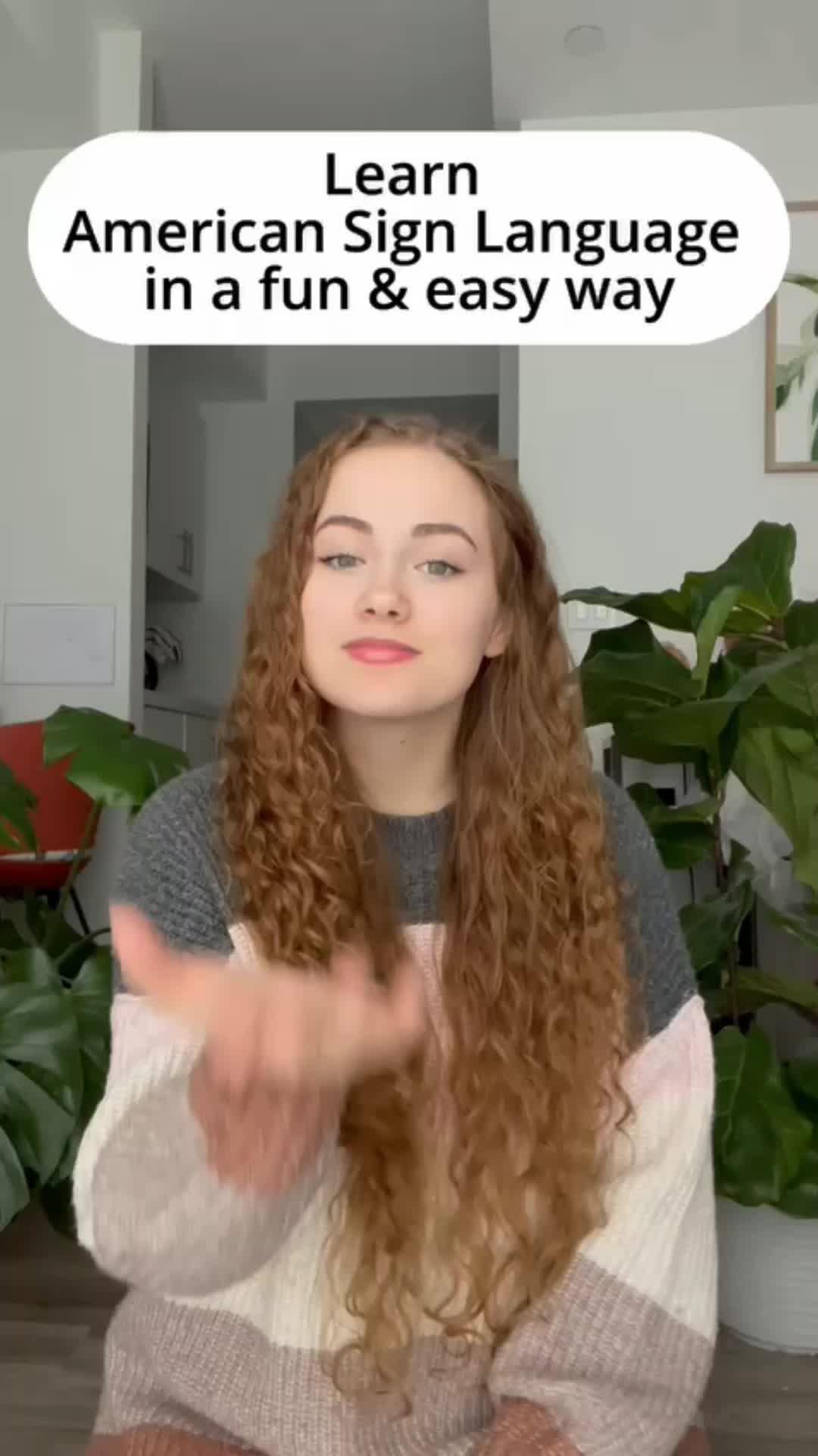 Learn American Sign language the fun & easy way!