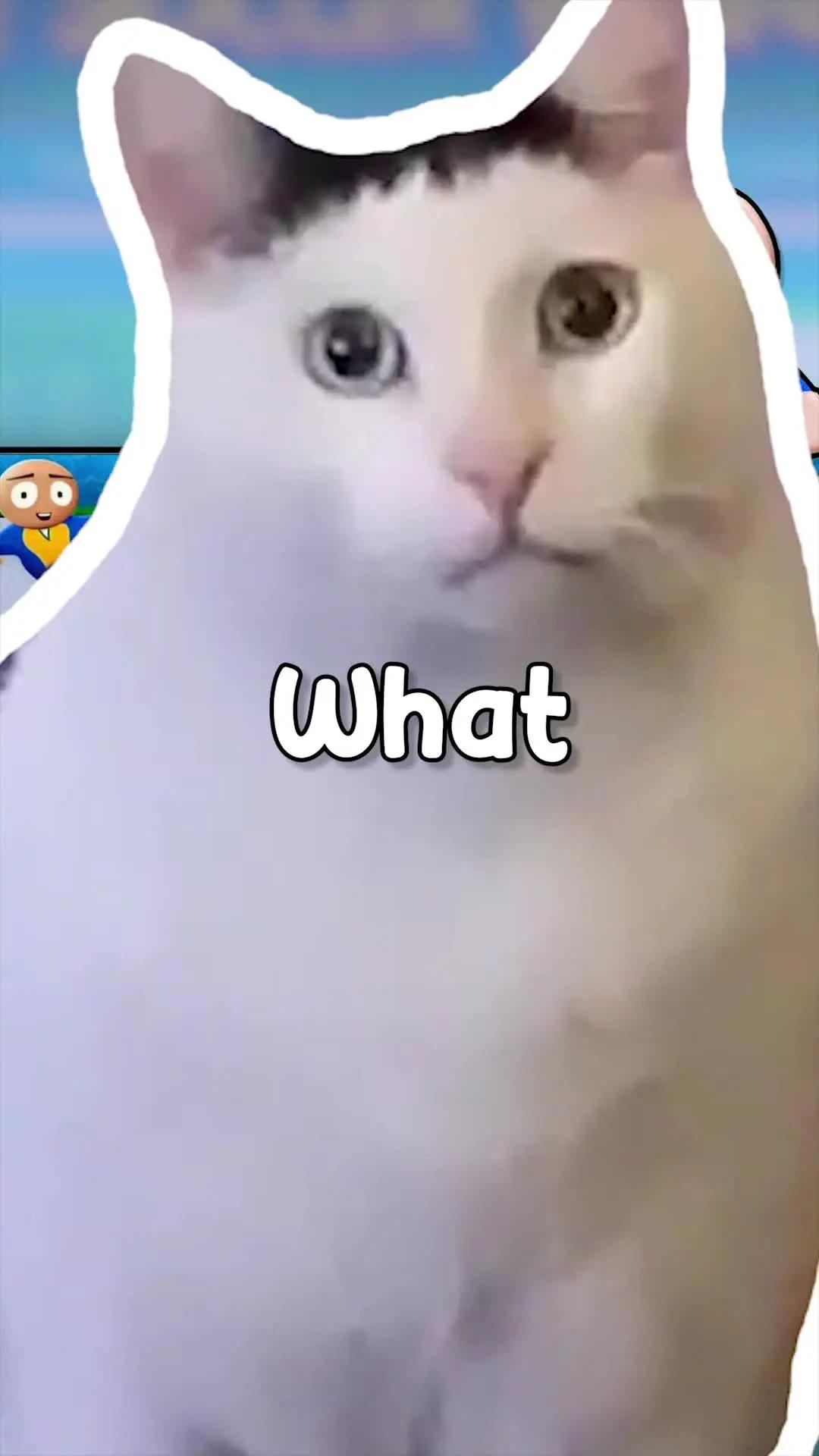 Download OSM 23/24 now!