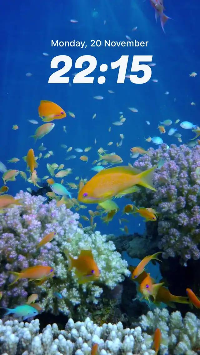 Сhange your screen beyond recognition!