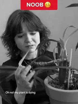 Stop killing your plants! #plantparents #planttiktok #plants #plantsoftiktok #planttok #plantcare #planttips