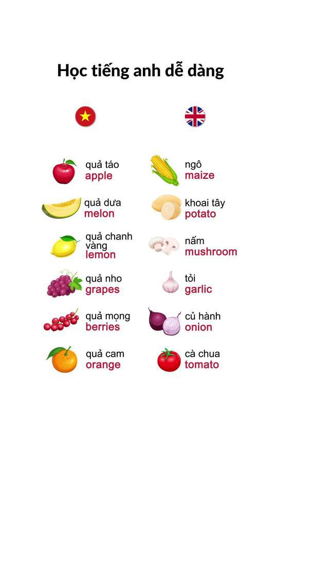 Vui chơi và học tiếng anh