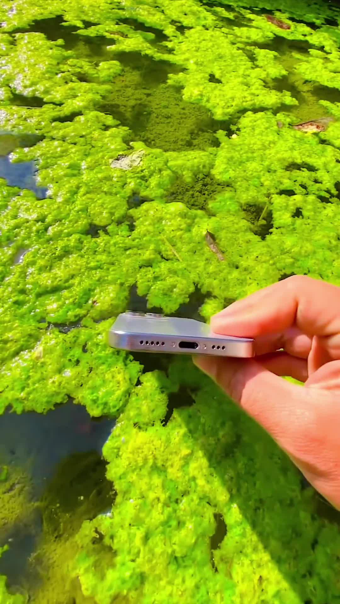 Try to ask AI Chatbot anything now!