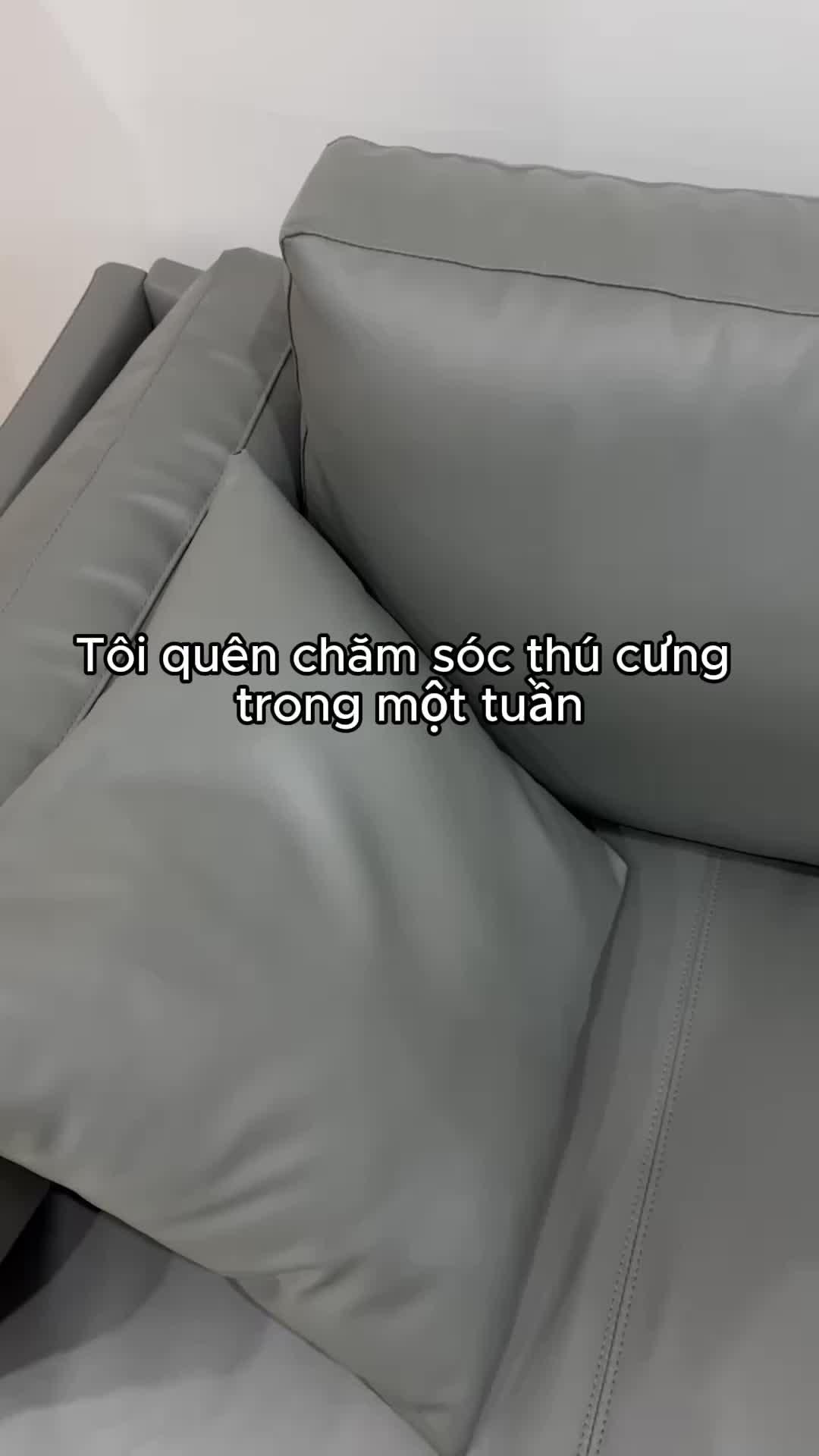 Nuôi một thú cưng trên màn hình khóa của bạn!