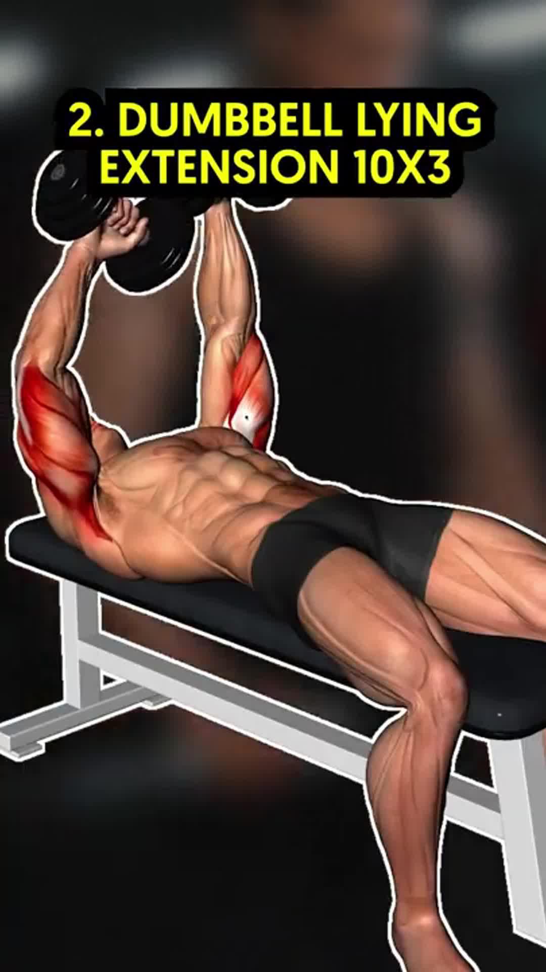 Easy Muscle is a workout application designed for fitness enthusiasts.