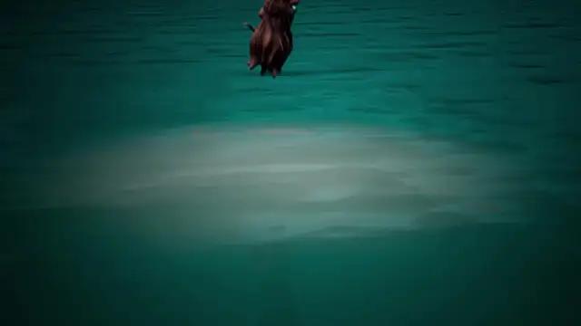 Next Generation Anime Allstar Game