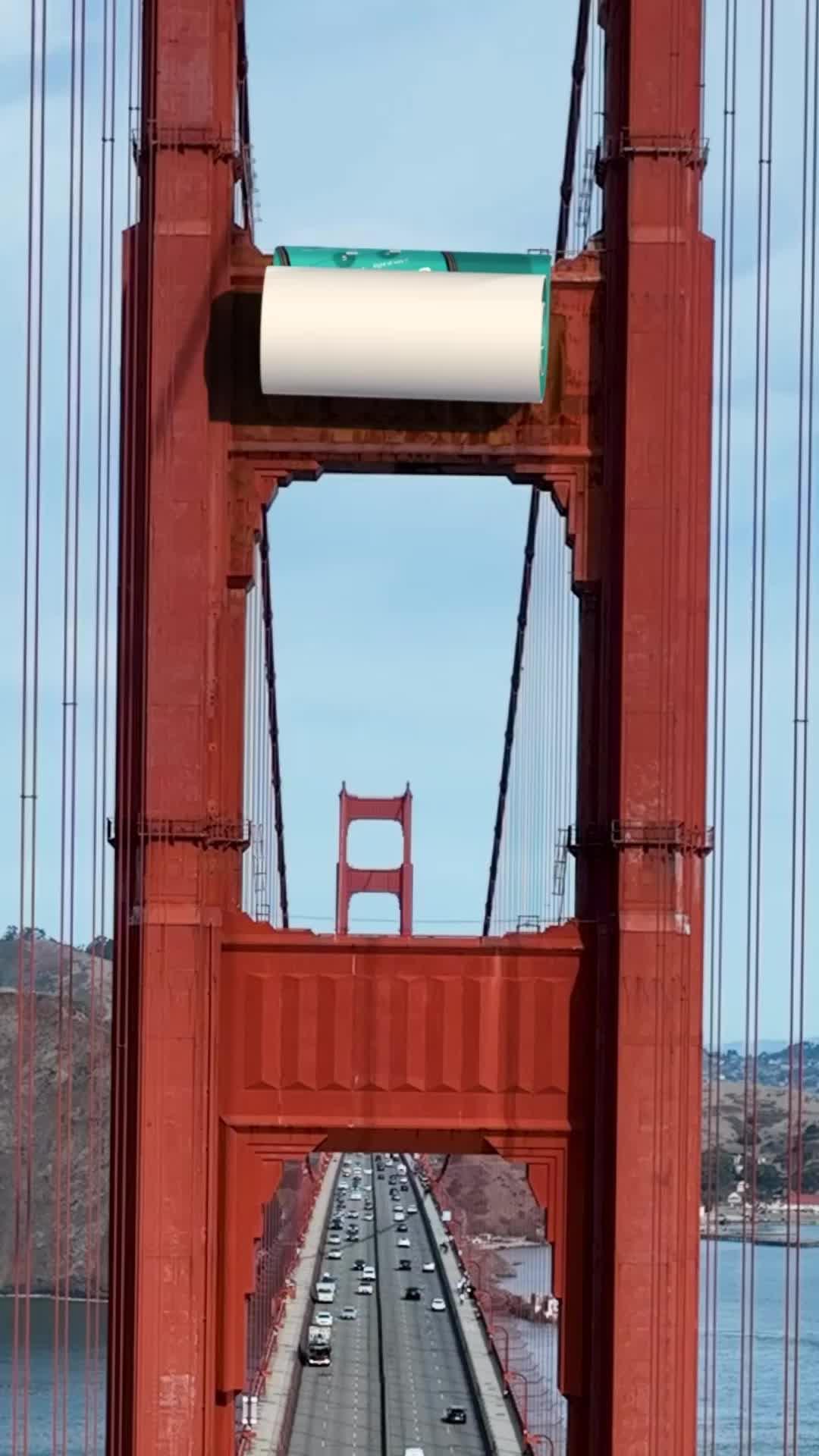 Ace your permit test and master behind-the-wheel training now!