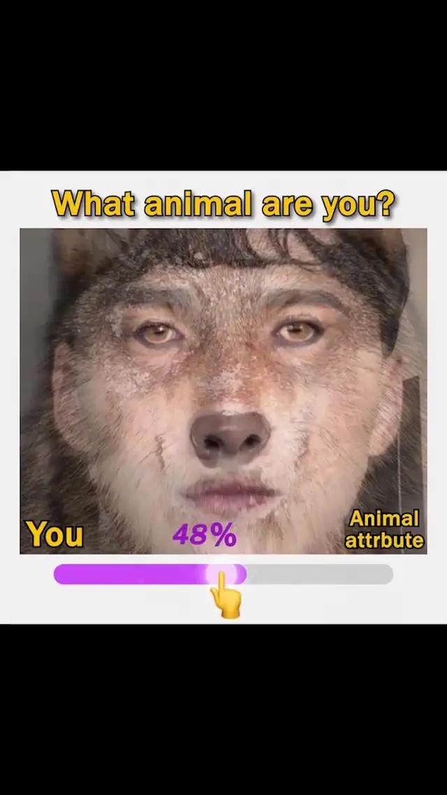 what animal are you？