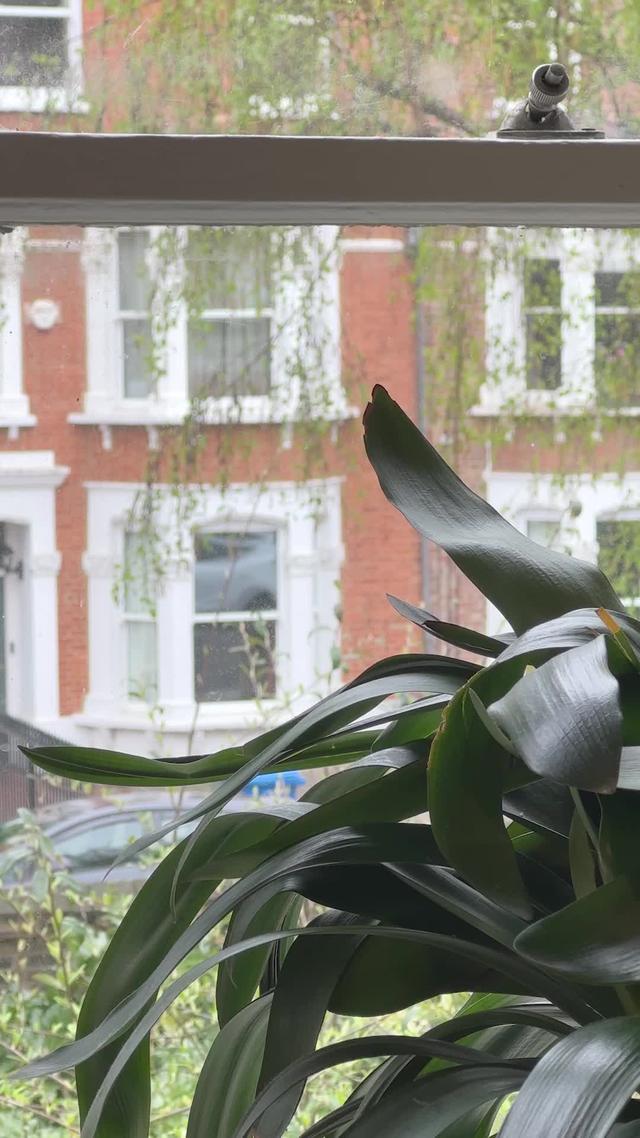 Zing is the zero fuss app & card that lets you spend in 20+ currencies with great rates & low fees.