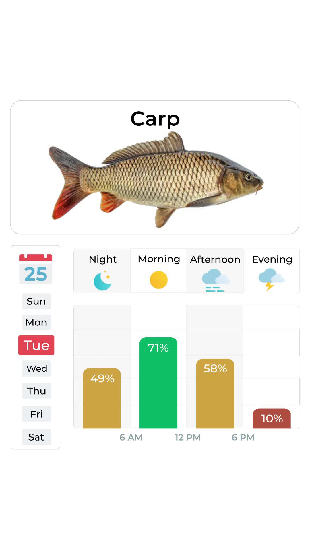 Find the best fishing spot with real-time mapping and expert tips