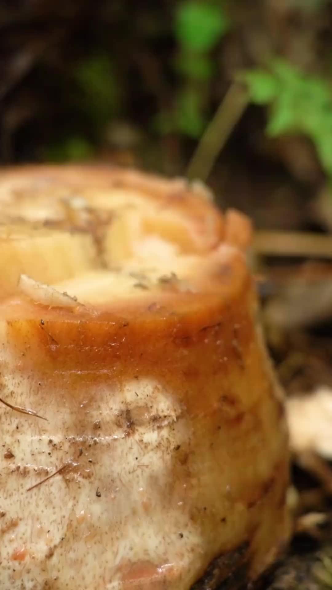 Facemoji AI has got your back.