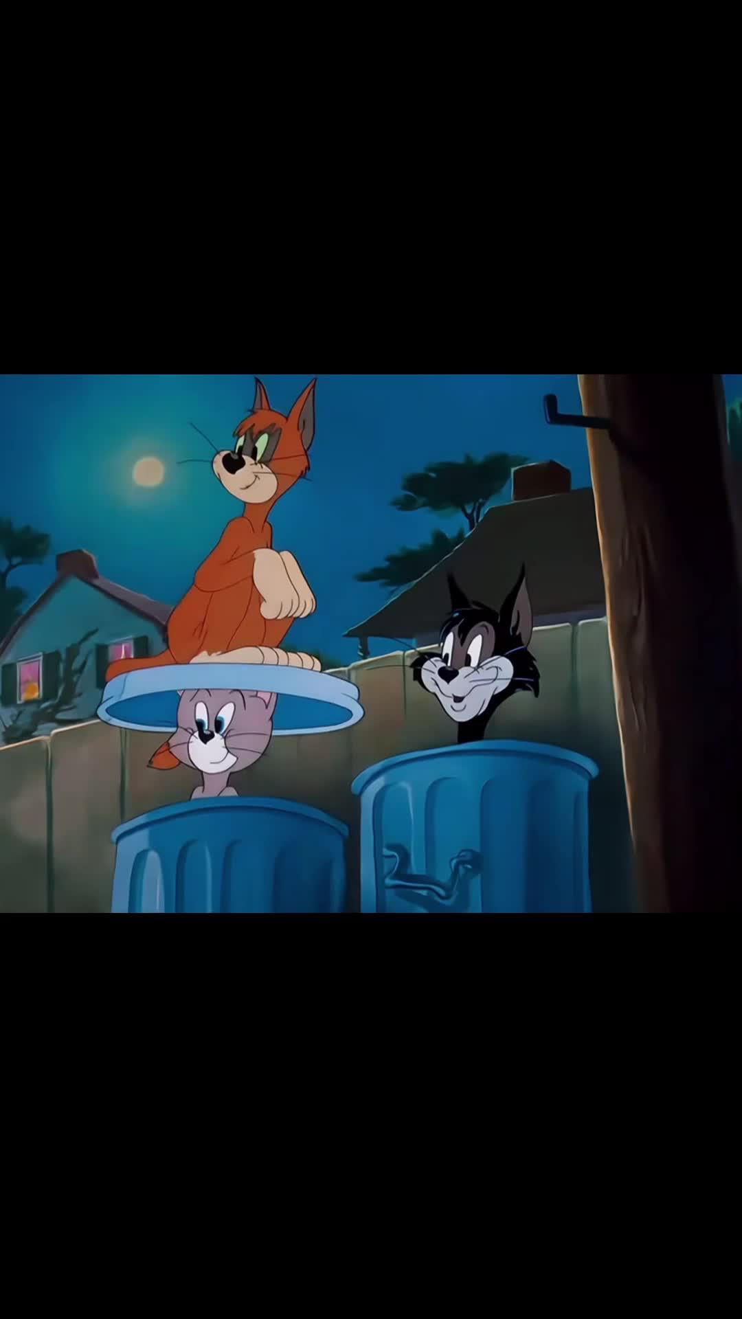 Come to Voghion now and find what you love!