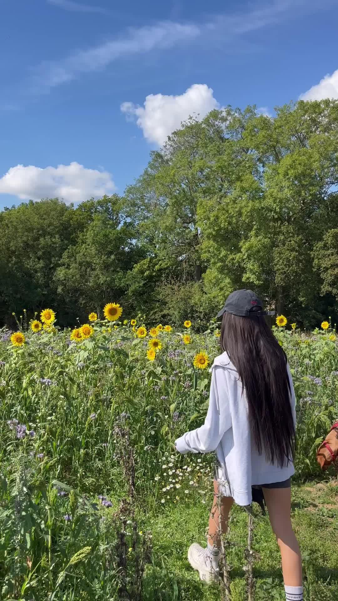 I would not be where I am today it it wasn't for NOCD! Start your recovery journey by downloading the NOCD app!