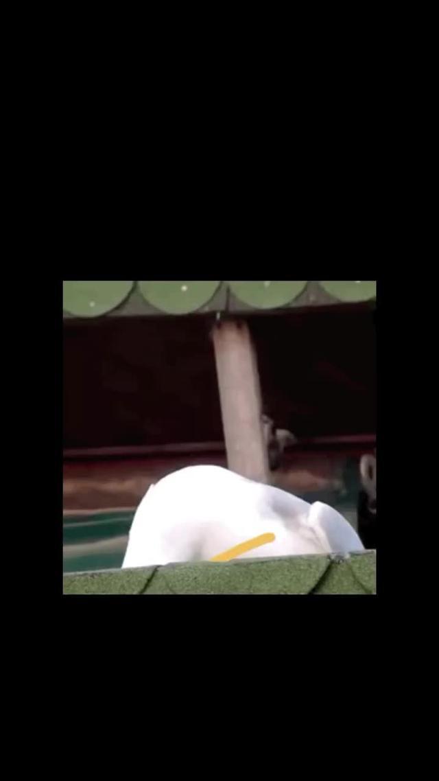 2024超休閒三國卡牌手遊