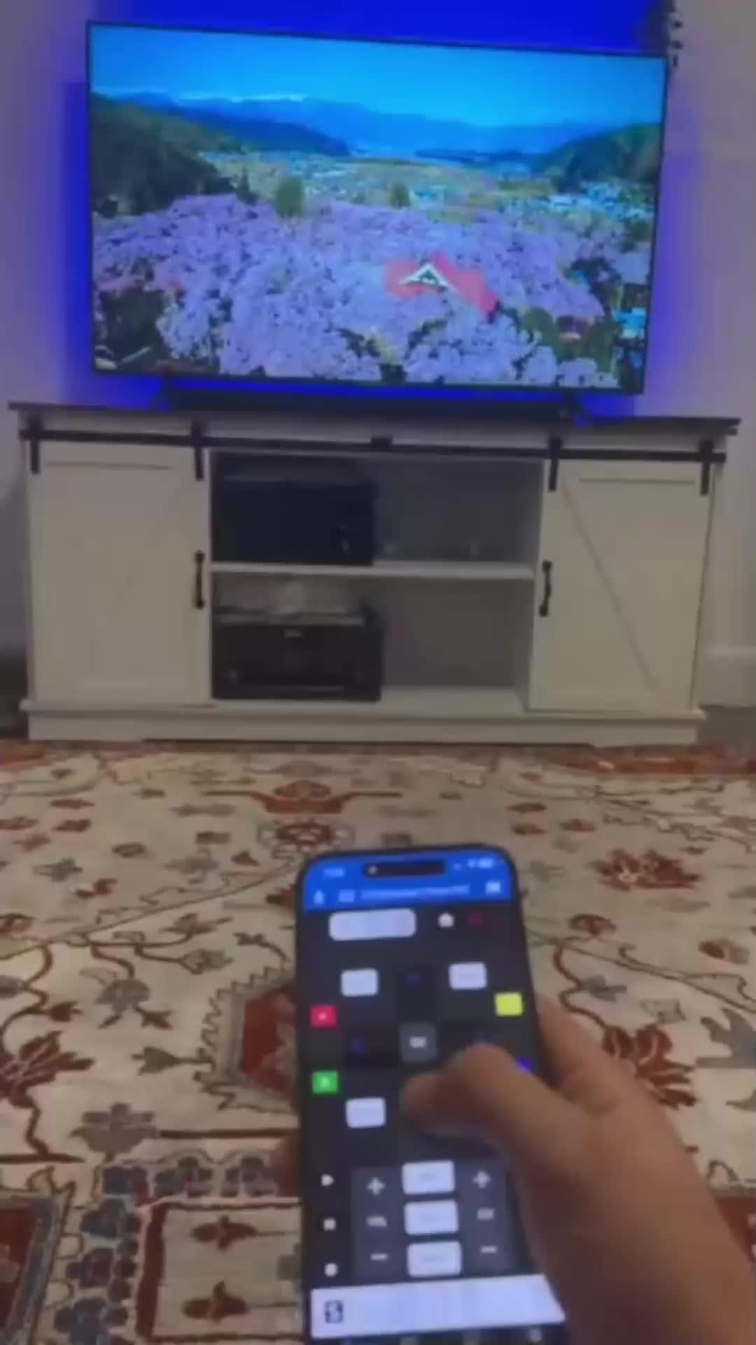 Remote Roku TV By iPhone