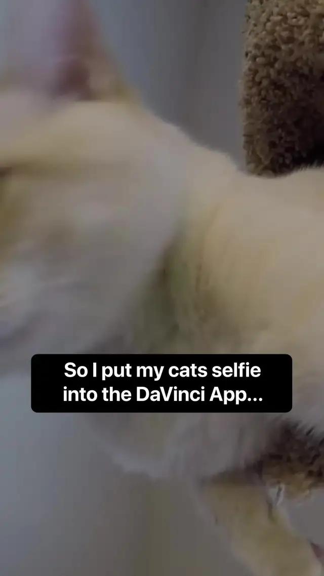 Create AI images of your pet in just seconds