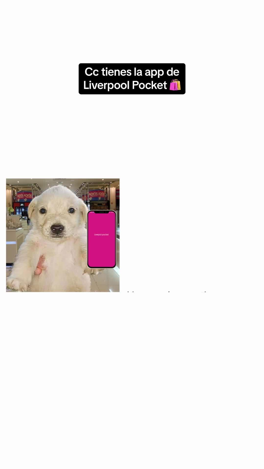 ¿Te imaginas un Liverpool 24/7? Con nuestra app es posible, descárgala ahora.