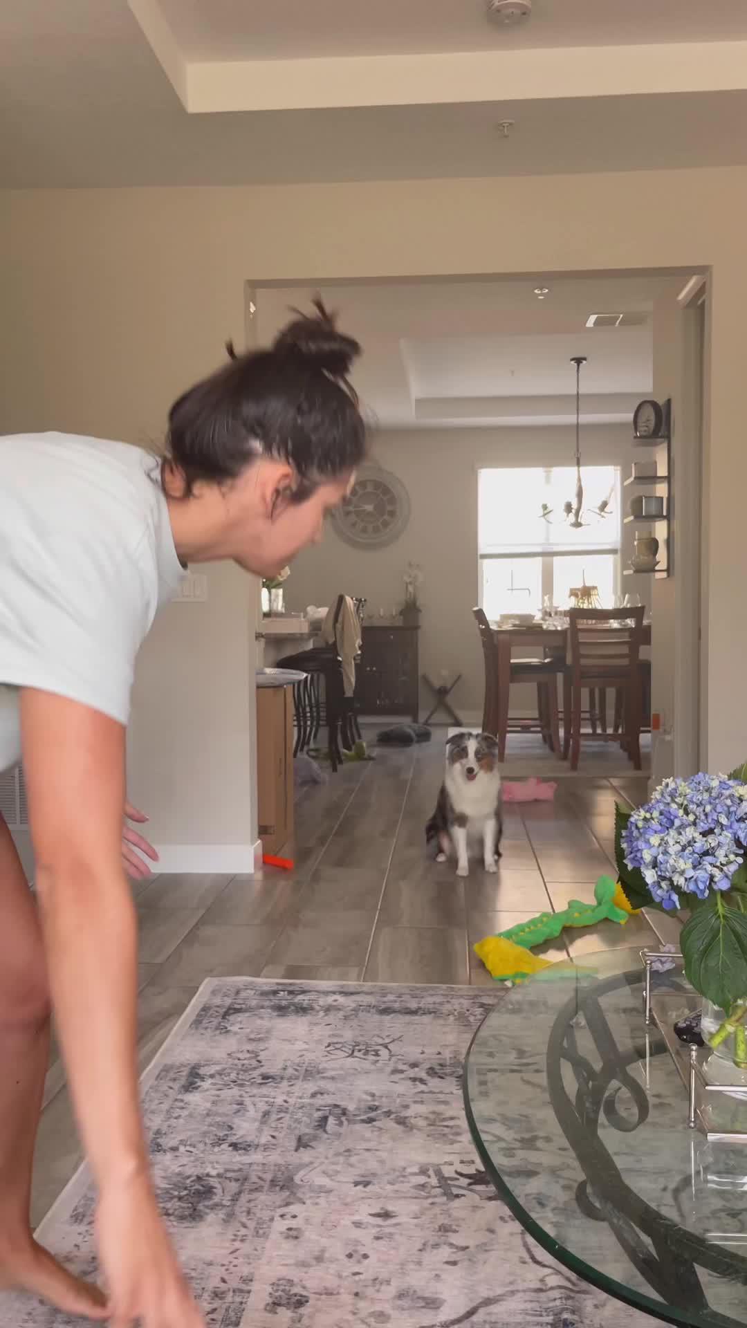 Elevate Your Pup's Skills in days!