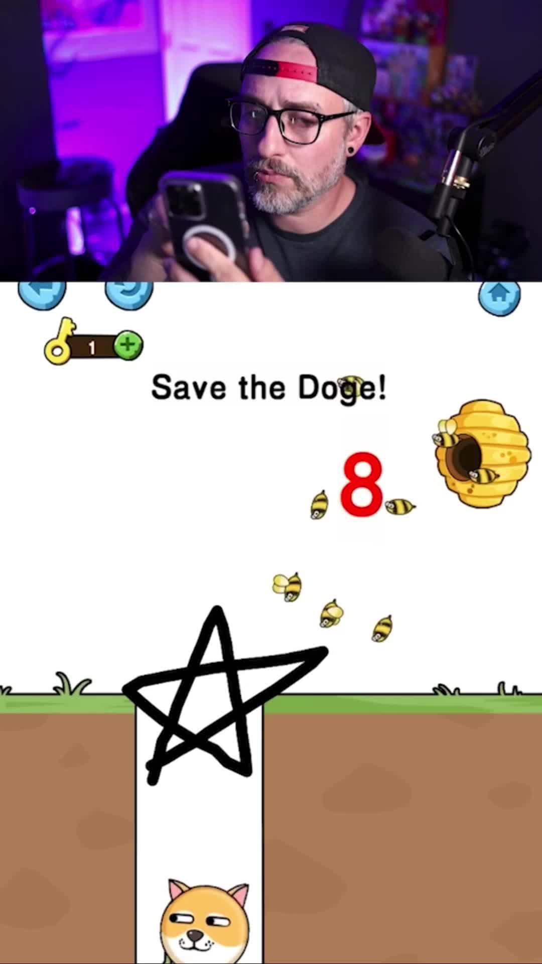 Save the dogs!