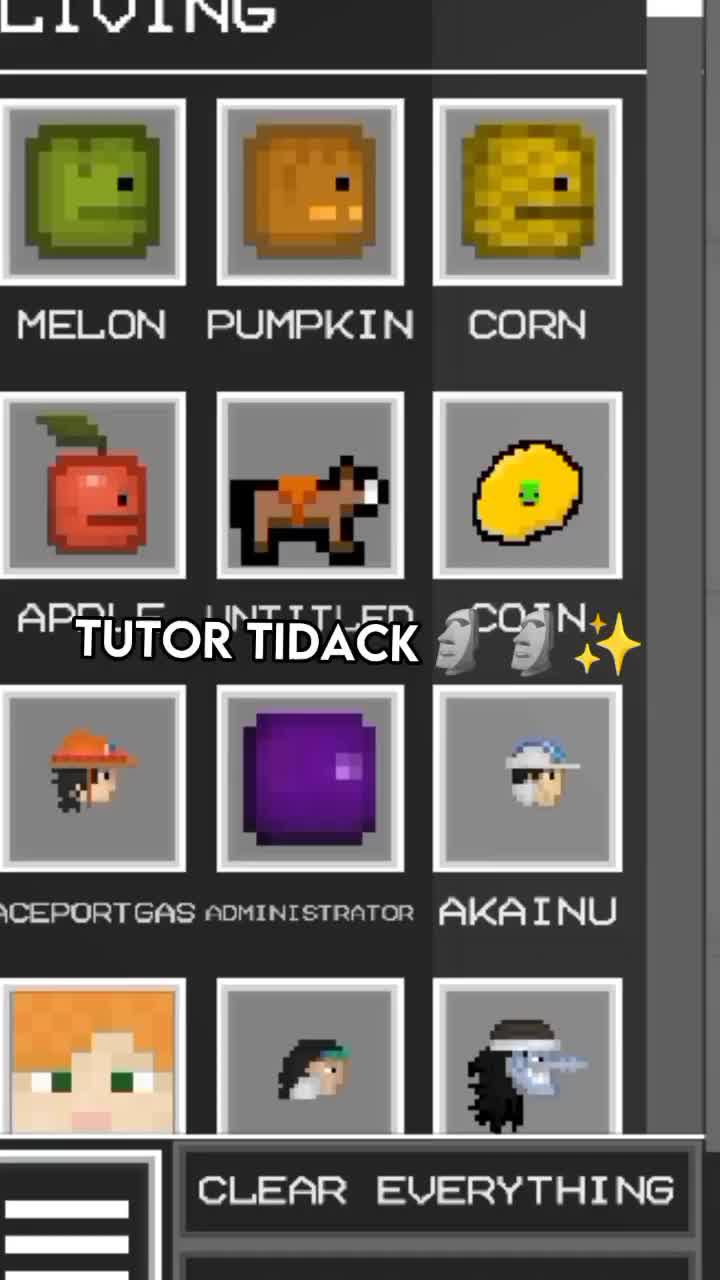 Customize your Melon Playground with skins, tools, and more!