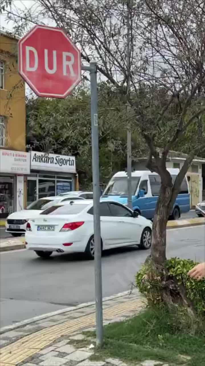 นักแปล/นักแปลด้วยกล้องที่ดีที่สุดที่คุณไม่ควรพลาด