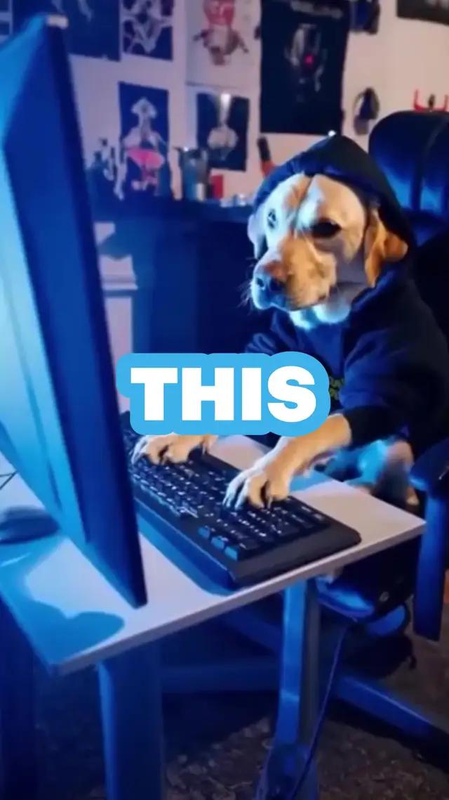 Generate AI Videos with Vimo AI! Convert your stunning ideas to AI Videos powered by Sora.