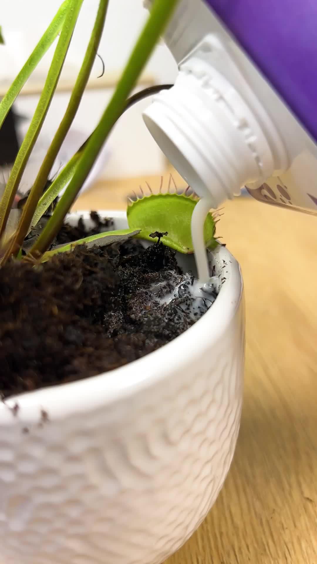 Unleash Your Green Thumb!