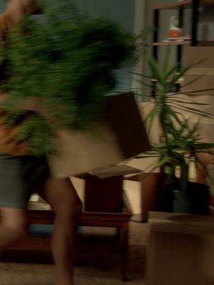 Você é + fã do SBT do que imagina. Então pensa bem: quer saber mesmo o que você faz com esse vídeo?