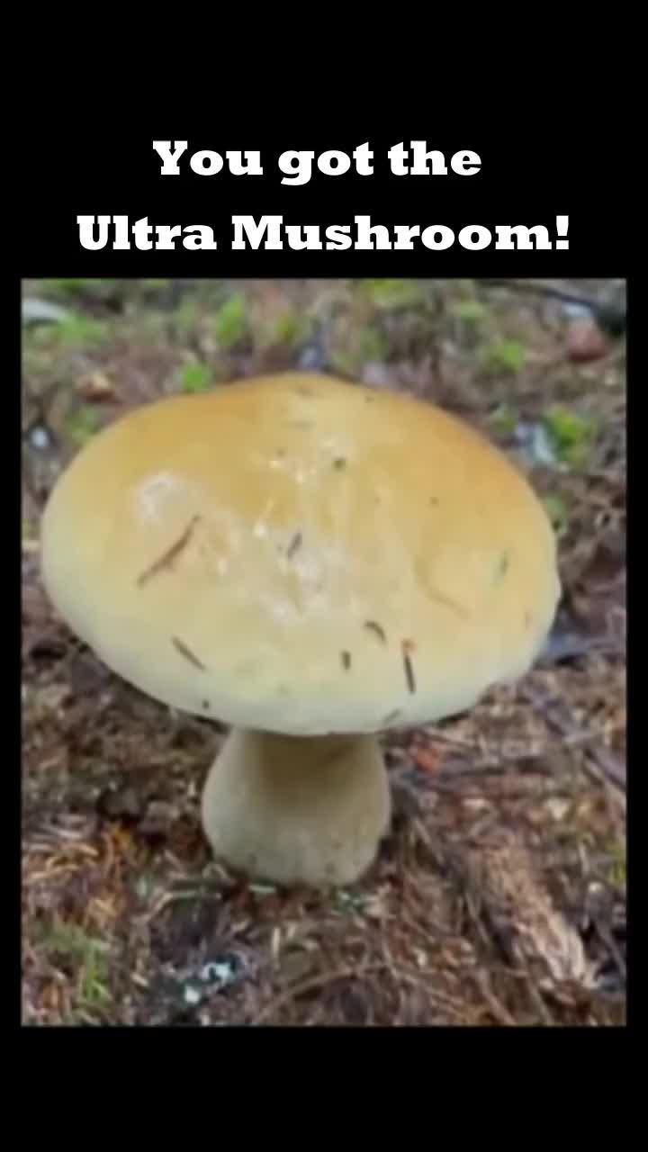 Get 3,000 consecutive free draws!