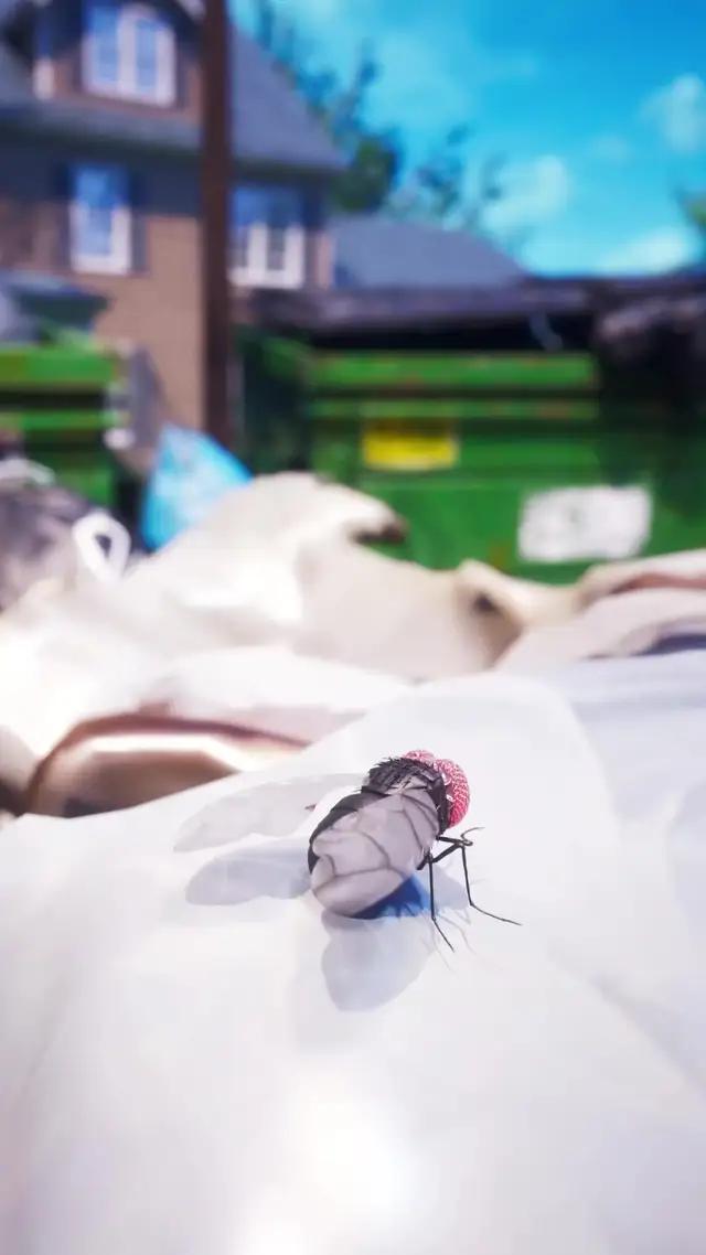 定制化卡車部件，生成你的專屬車型，做卡車之星！