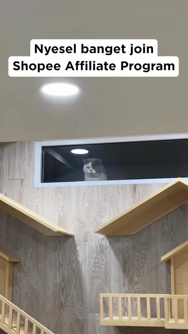 Ngonten dan nikmati komisi hingga puluhan juta* 💰💸 Yuk, daftar Shopee Affiliate Program sekarang!