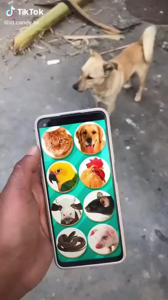 Did you try this before? Come on! Try it now for FREE!