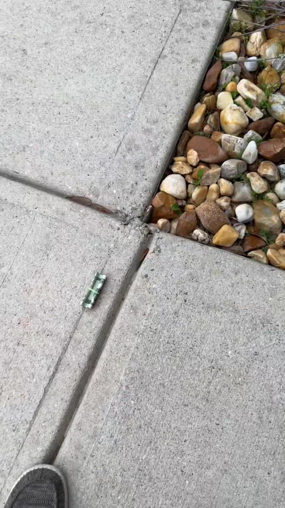 Track subscriptions and auto-negotiate bills!