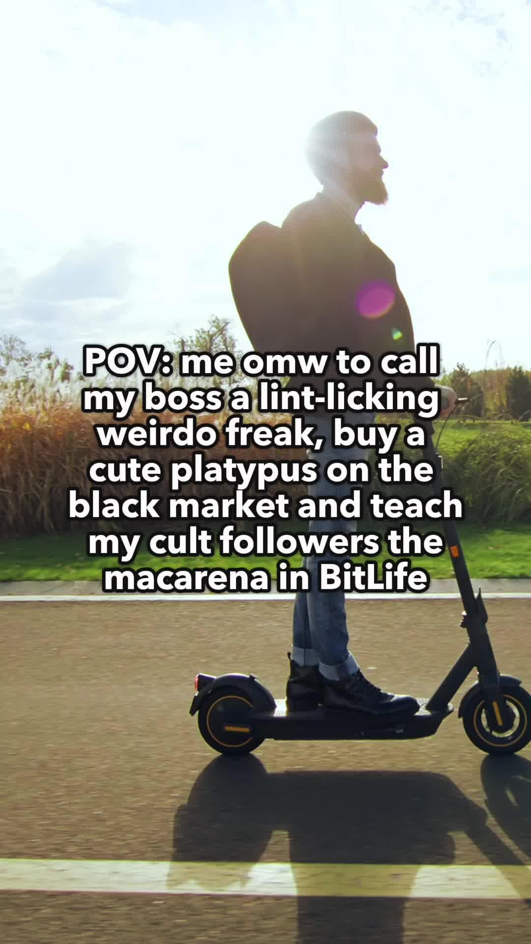 Live your best live with Bitlife!