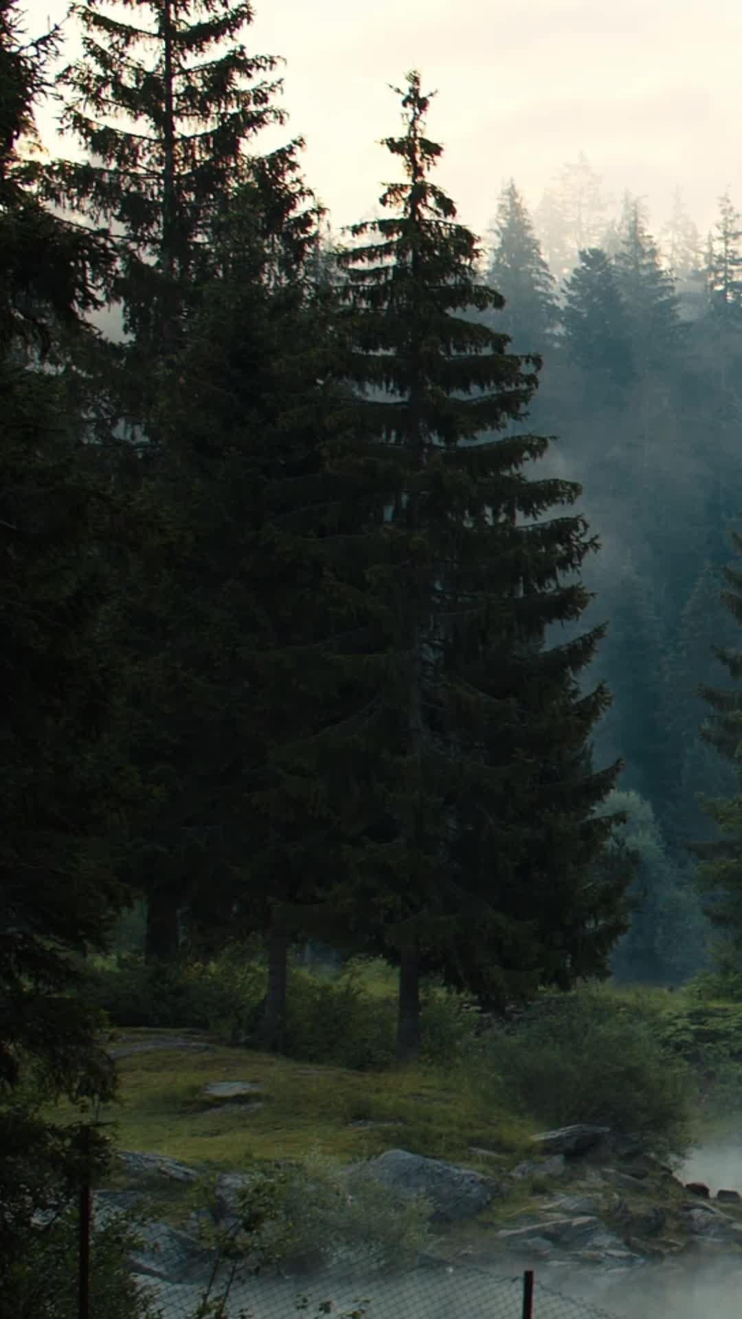 Christian Meditation Made Easy