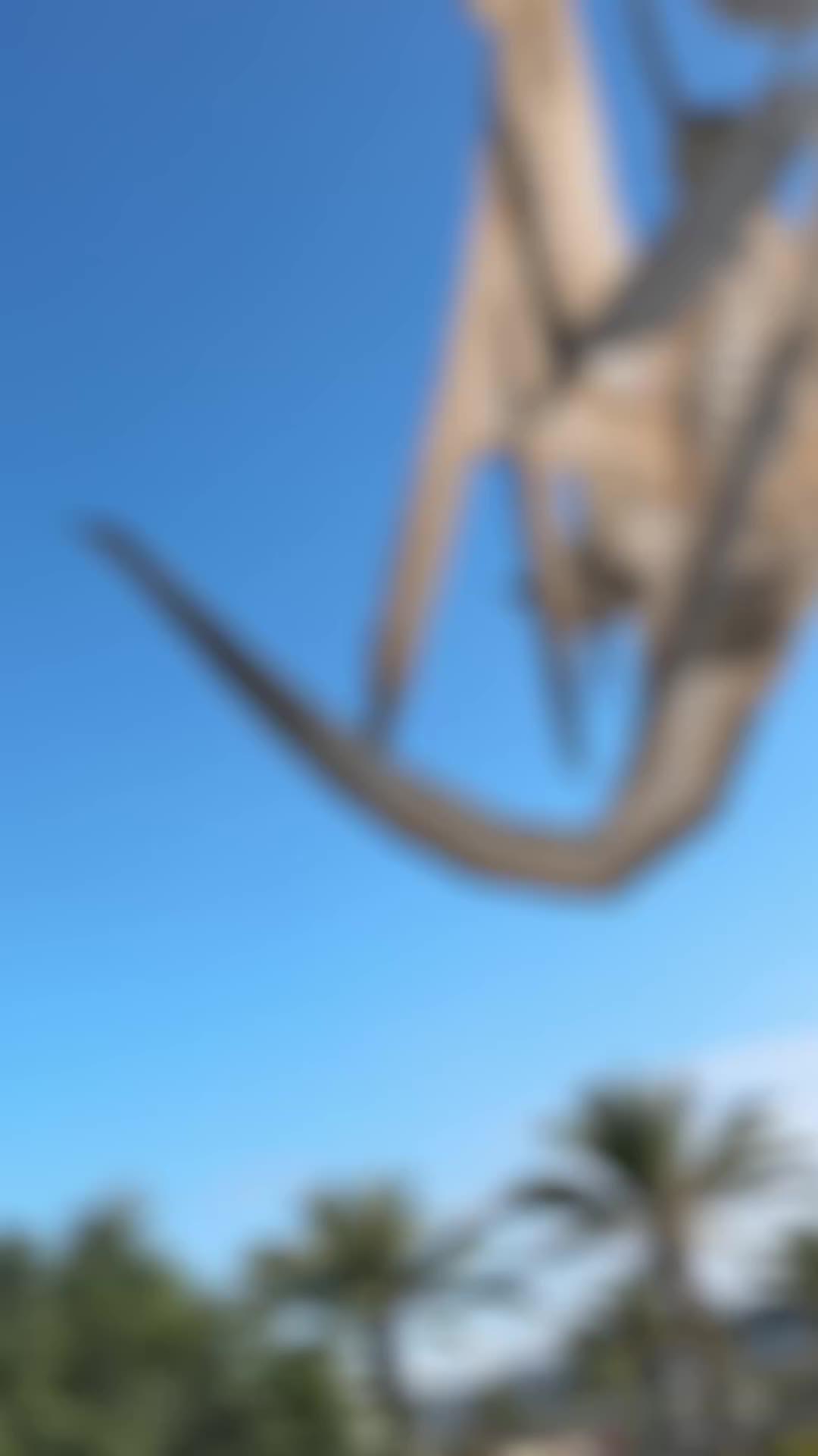 Urgent Quest! Monsters Ahead!