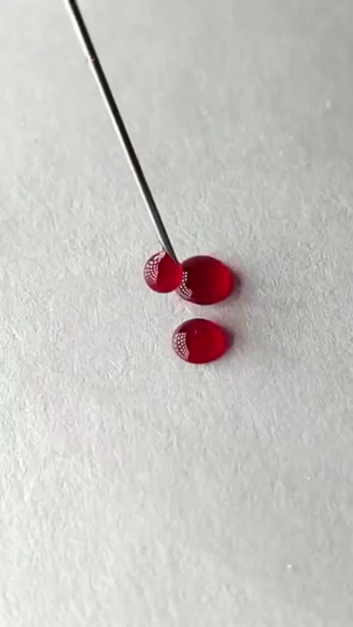 Ants are really cool creatures!!