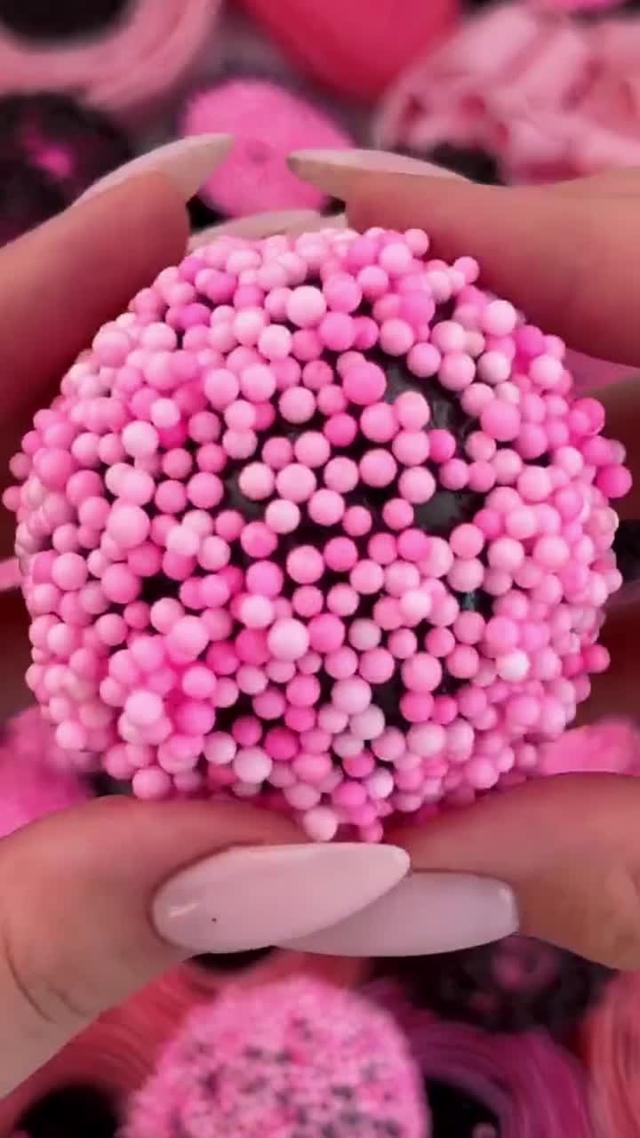 動物餐廳招聘店長啦！現在下載立即領取5萬小魚乾~