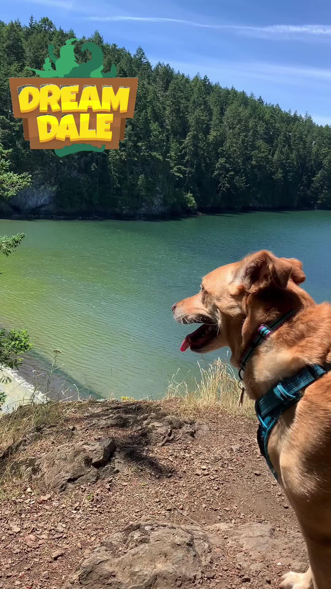 Go on a fairytale adventure!