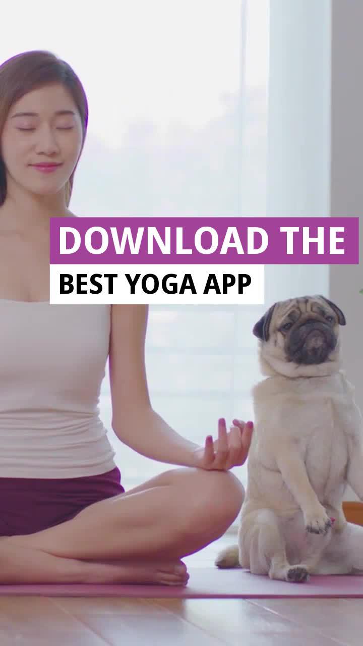 2600+ Highly Rated Yoga Classes
