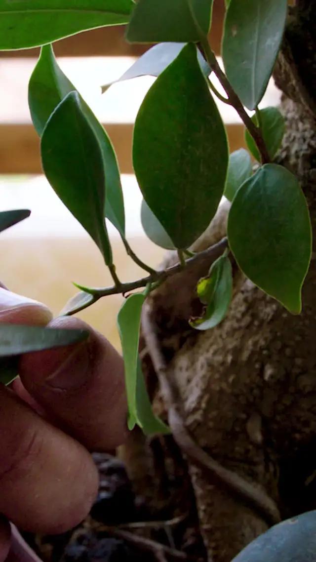 واخيرا تخرج!! حمل Yeebaa واختار كرت المناسبة ليطلع على اي شاشة اعلانات جوا عمان بالوقت اللي بدك اياه