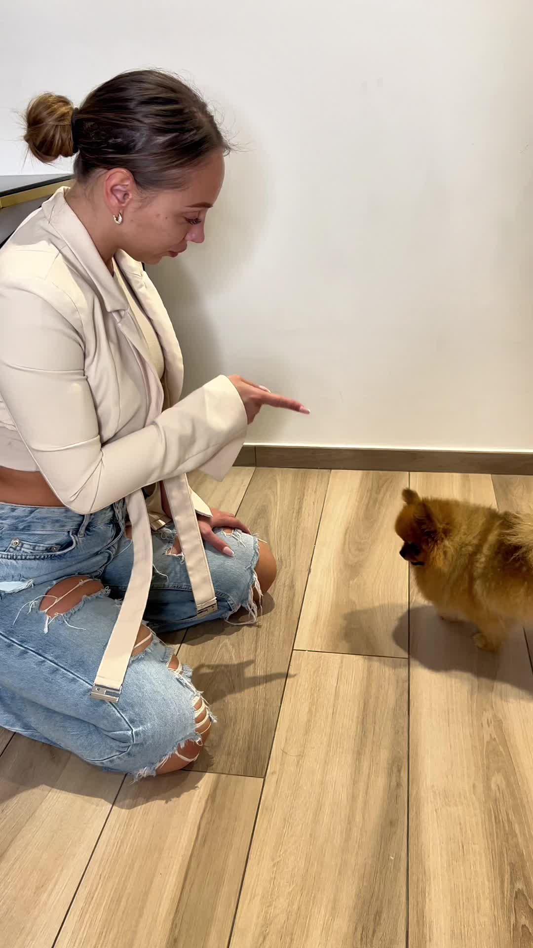 Elevate Your Pup's Skills with Woofz!