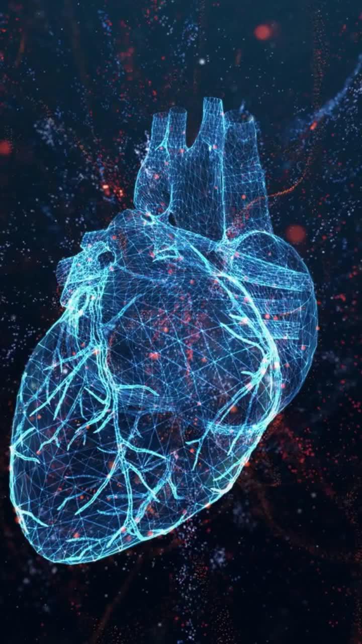 Easily check your heart rate with Heart Rate!