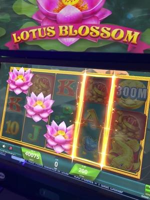 15,000,000 welcome free coins