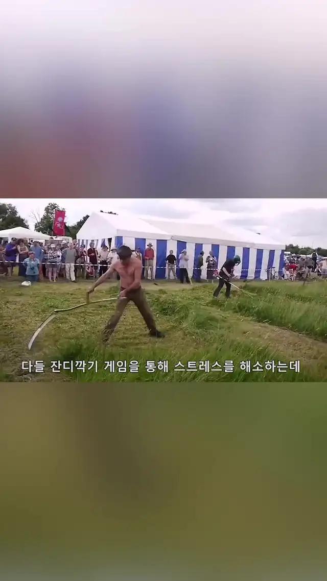 잔디 깍기 게임